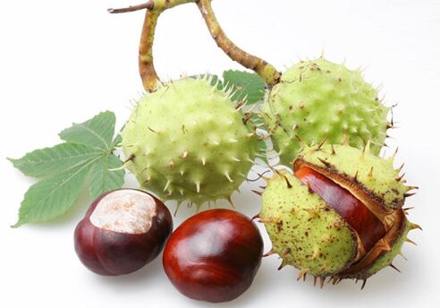 Chestnut fruits are rich in many valuable vitamins and microelements that have a positive effect on the prostate.